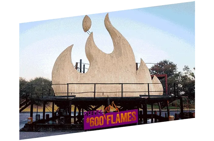 THE FLAME,BURNS BRIGHT